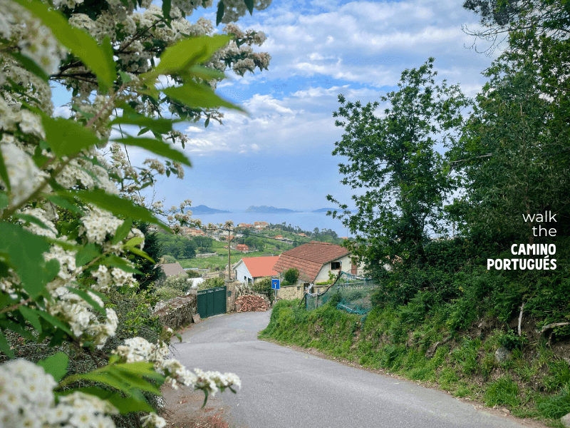 Winding street on the Coastal Route of the Camino Portugués with the Cíes Islands in the background