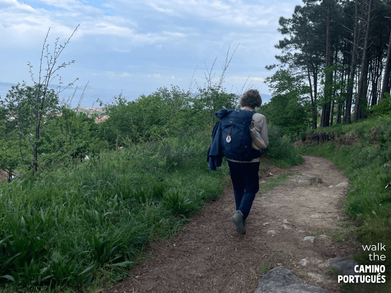Pilgrim walking on a forest trail with Vigo in the background on the Camino Portugués