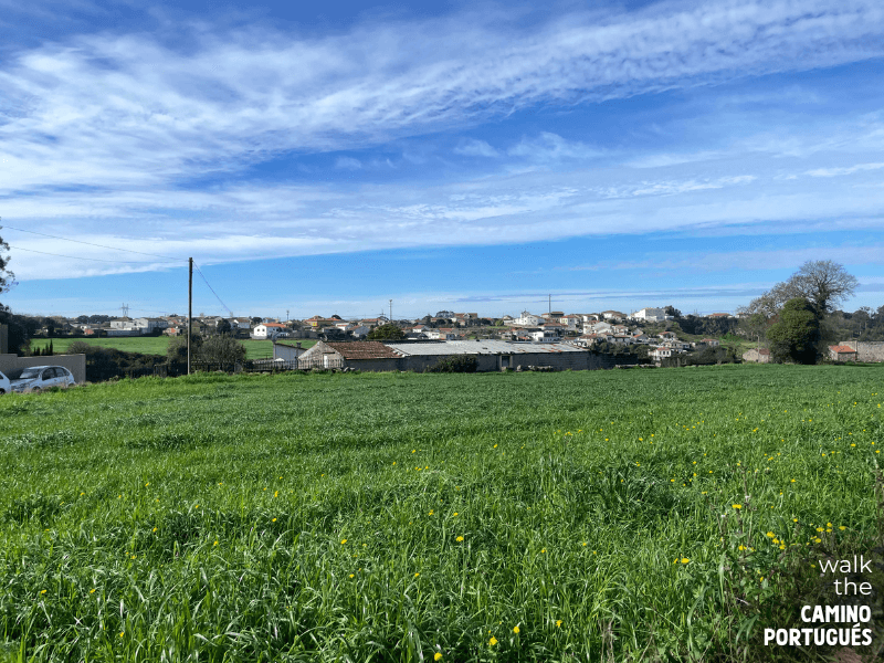 The Coastal Route opening up after leaving busy Porto behind