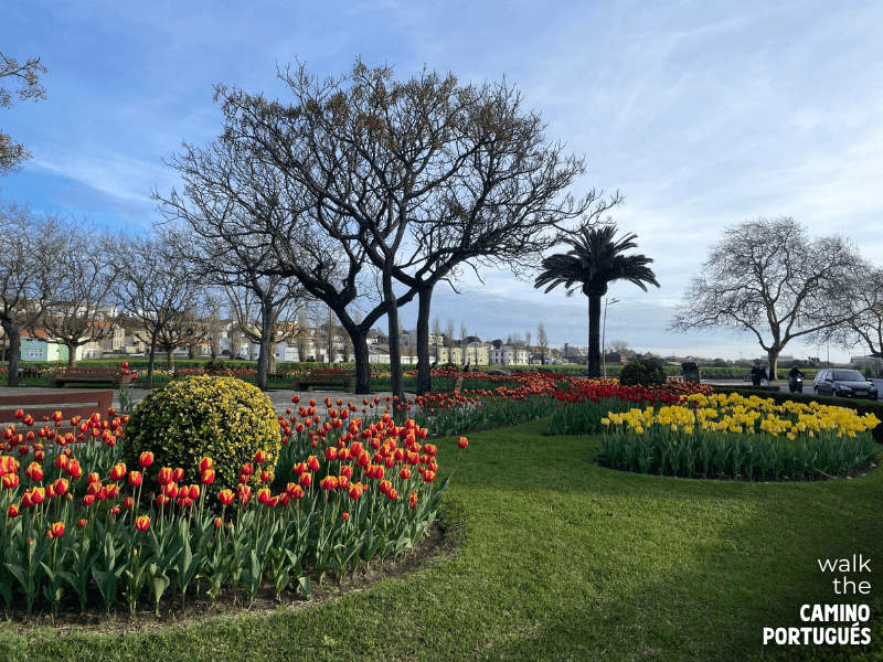 Little park on the Praça da República in Vila do Conde